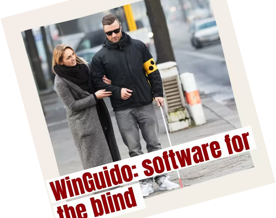 Read more about the article WINGUIDO